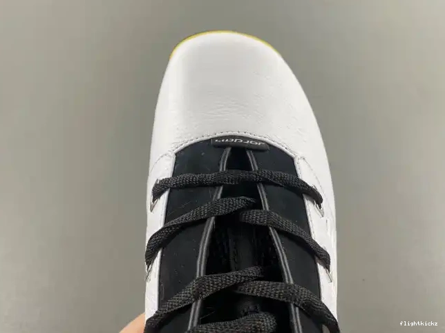 FJ0395-100 Low 17 Lightning Jordan Air 0423